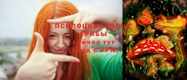 дурь Арсеньев