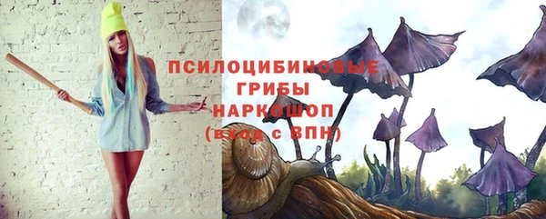дурь Арсеньев